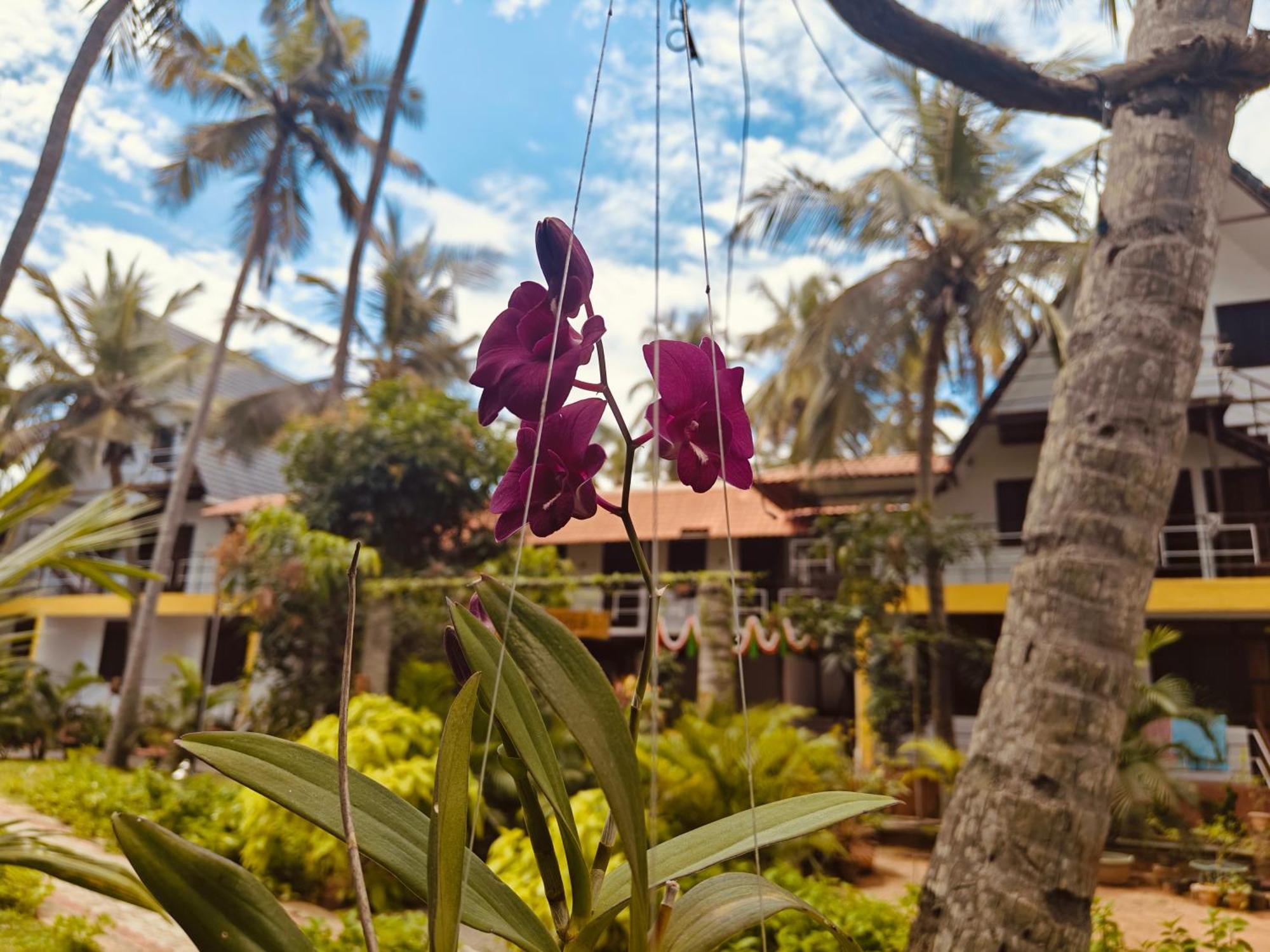 Pv Cottages - Serenity Beach Pondicherry Esterno foto